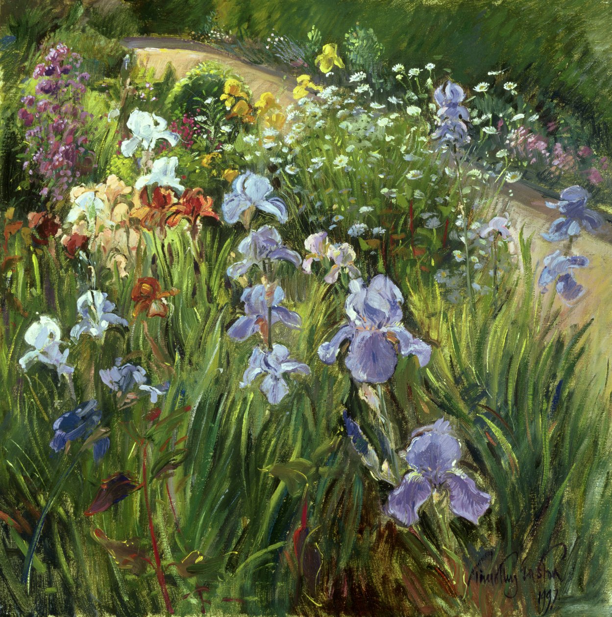Irises和Oxeye Daisies，1997 作者 蒂莫西·伊斯顿