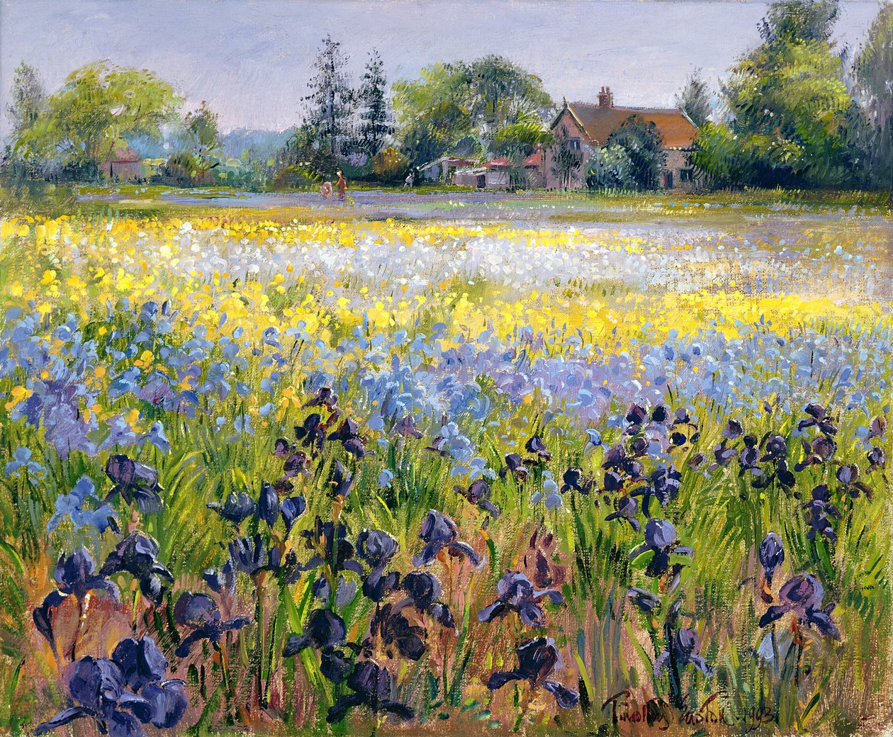 鸢尾花和两棵杉树，1993 作者 蒂莫西·伊斯顿