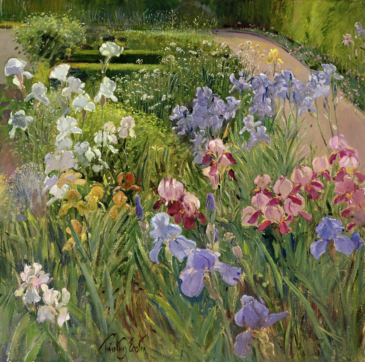 在Bedfield鸢尾花 作者 蒂莫西·伊斯顿