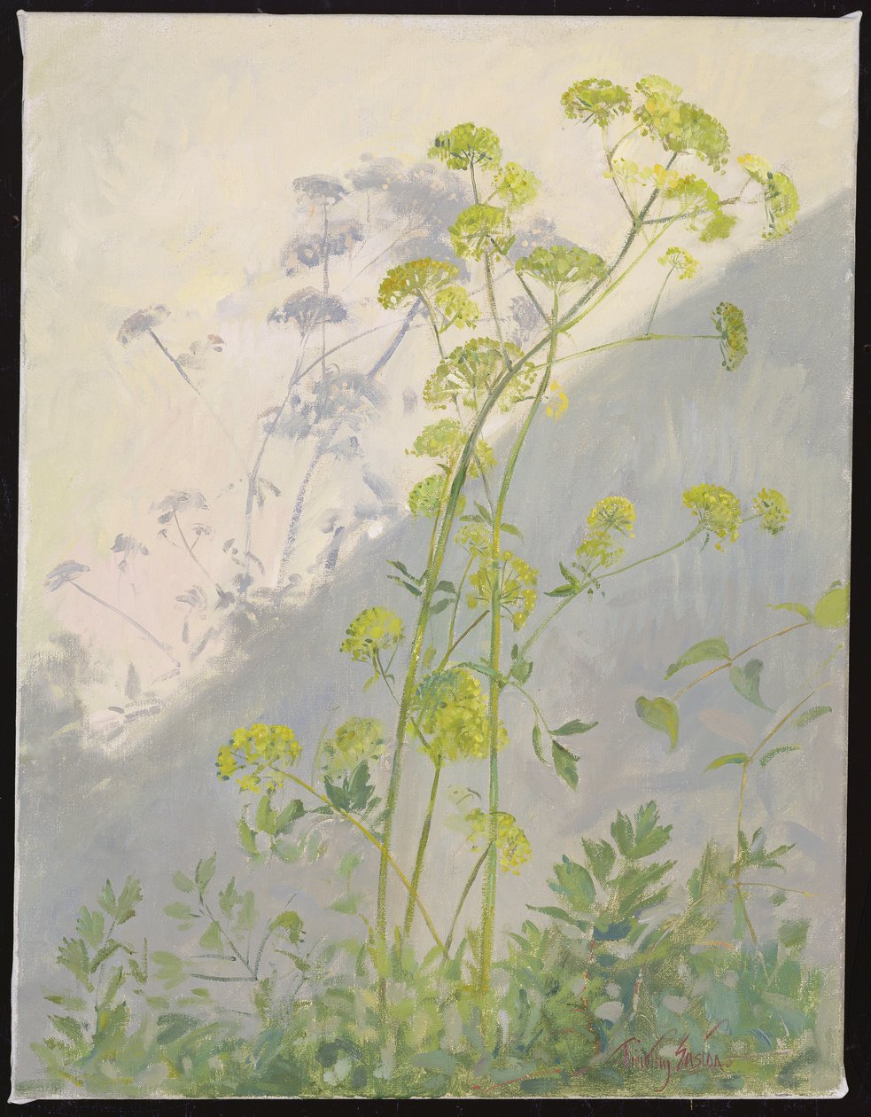 对抗阴影的独活，1999 作者 蒂莫西·伊斯顿