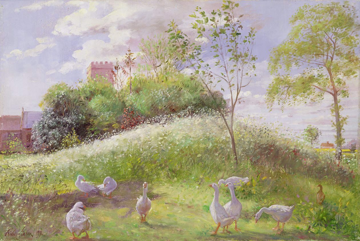 May Mount，1991 作者 蒂莫西·伊斯顿