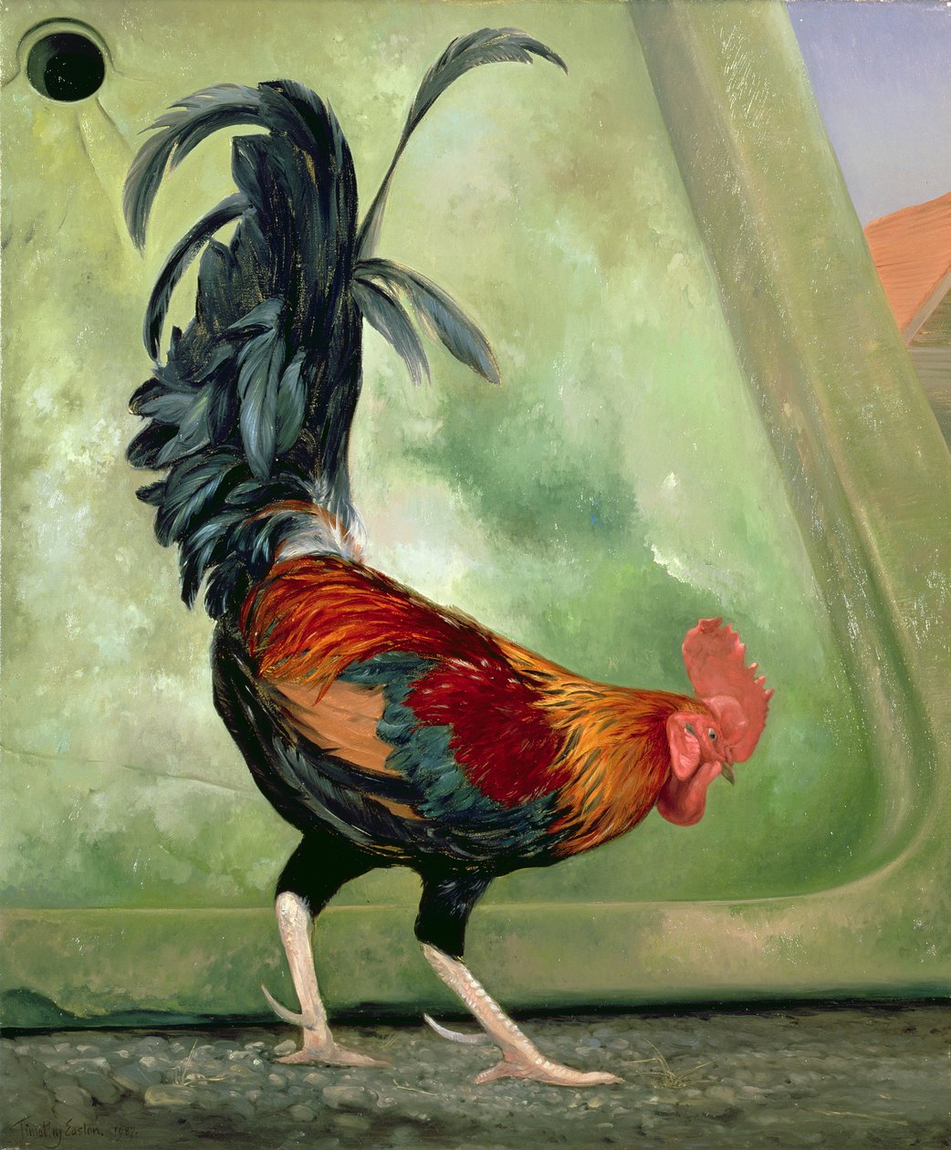 Popinjay，详细显示公鸡，1987年 作者 蒂莫西·伊斯顿