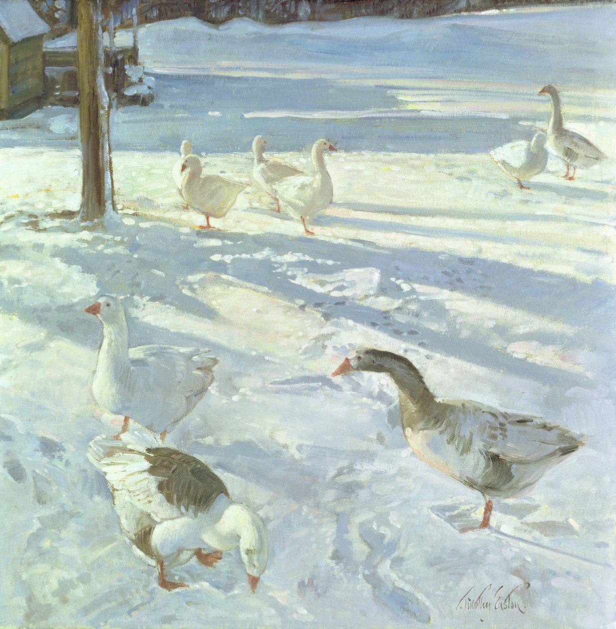 Snowfeeders，1999 作者 蒂莫西·伊斯顿
