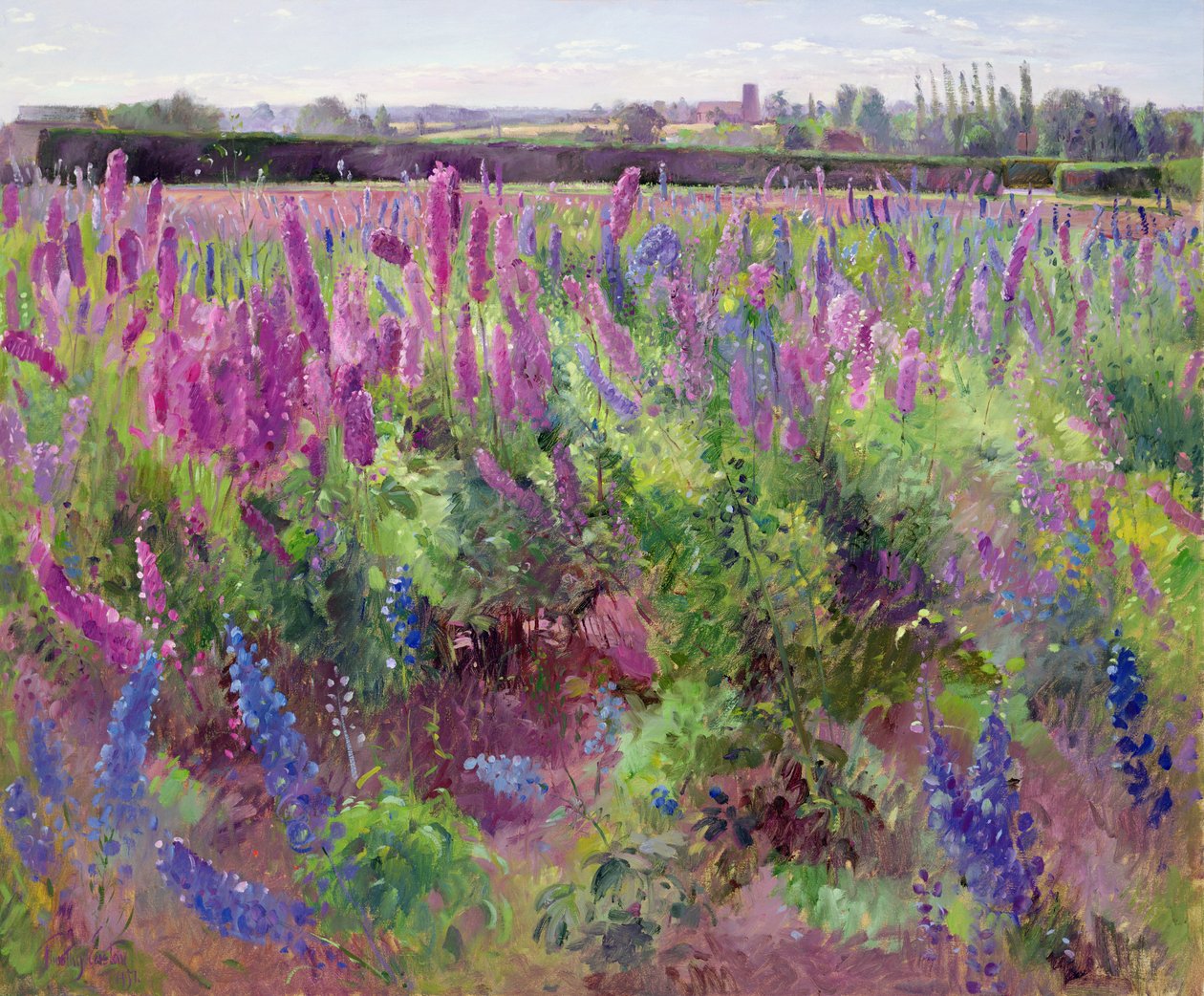Delphinium Field，1991 作者 蒂莫西·伊斯顿