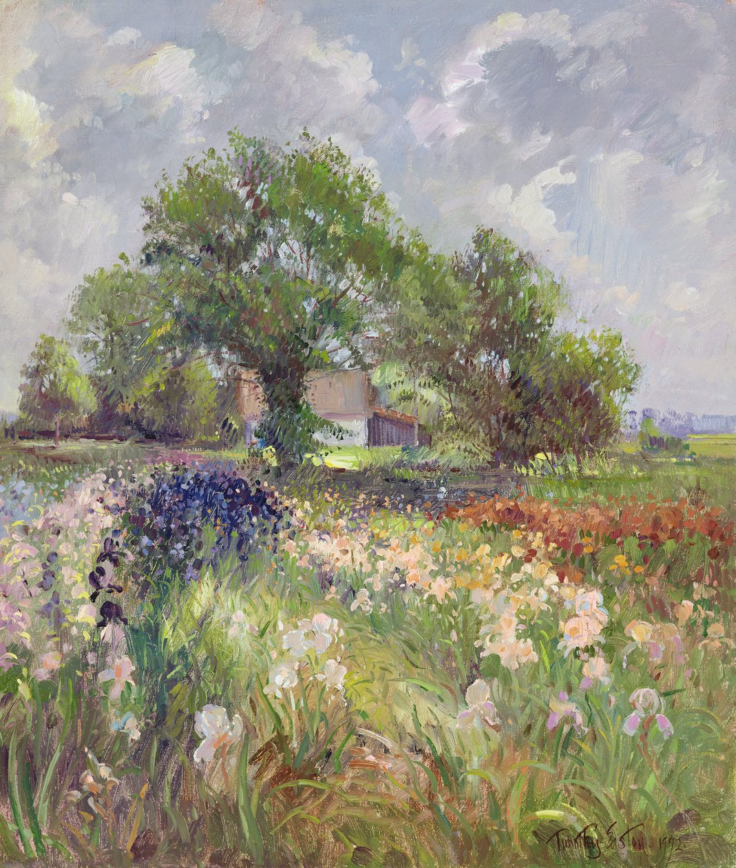 White Barn和Iris Field，1992 作者 蒂莫西·伊斯顿
