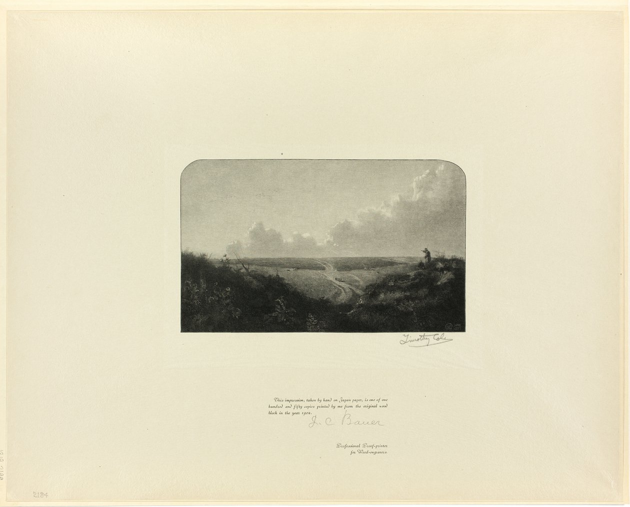 Mousehold Heath，选自《古英语大师》（Old English Masters 作者 蒂莫西·科尔