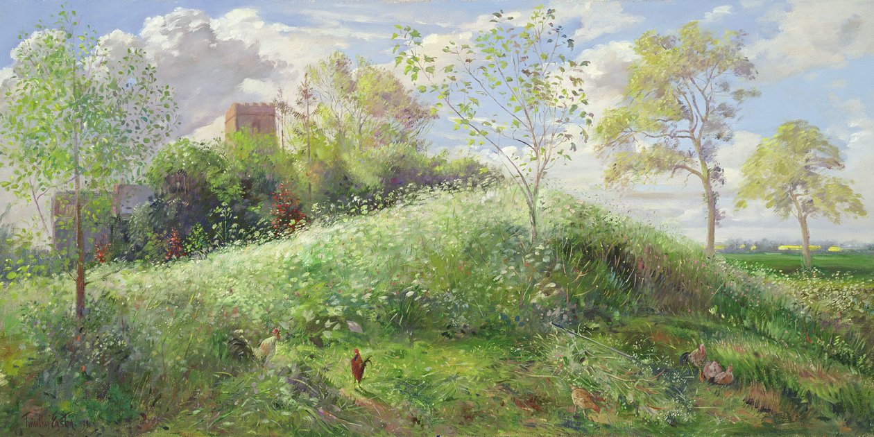 Cow Parsley Hill，1991 作者 蒂莫西·伊斯顿