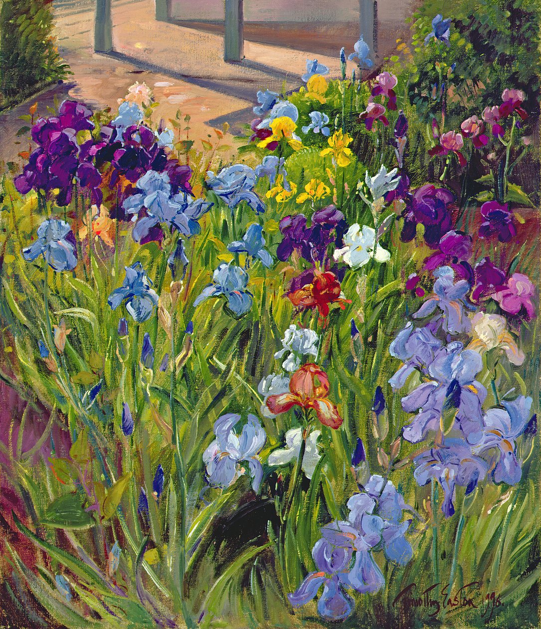 鸢尾花和避暑别墅阴影，1996年 作者 蒂莫西·伊斯顿