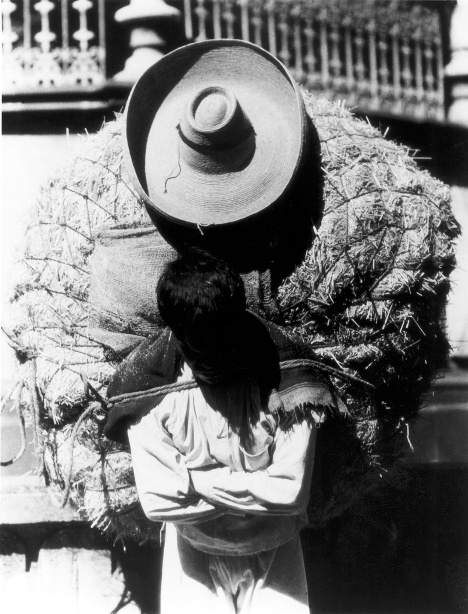 Campesino，韦拉克鲁斯州，墨西哥，1927年 作者 蒂娜·莫多蒂