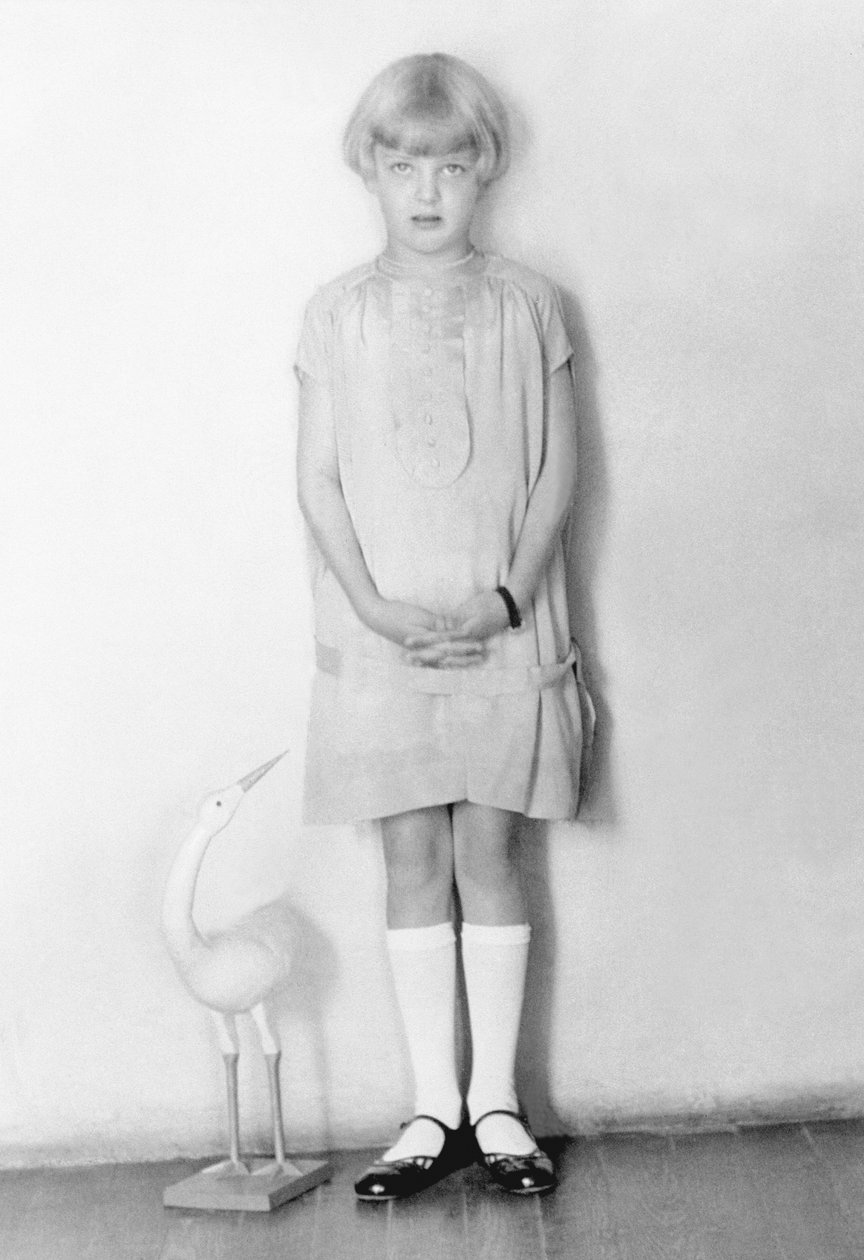 有鹳的女孩，墨西哥城，c.1926 作者 蒂娜·莫多蒂