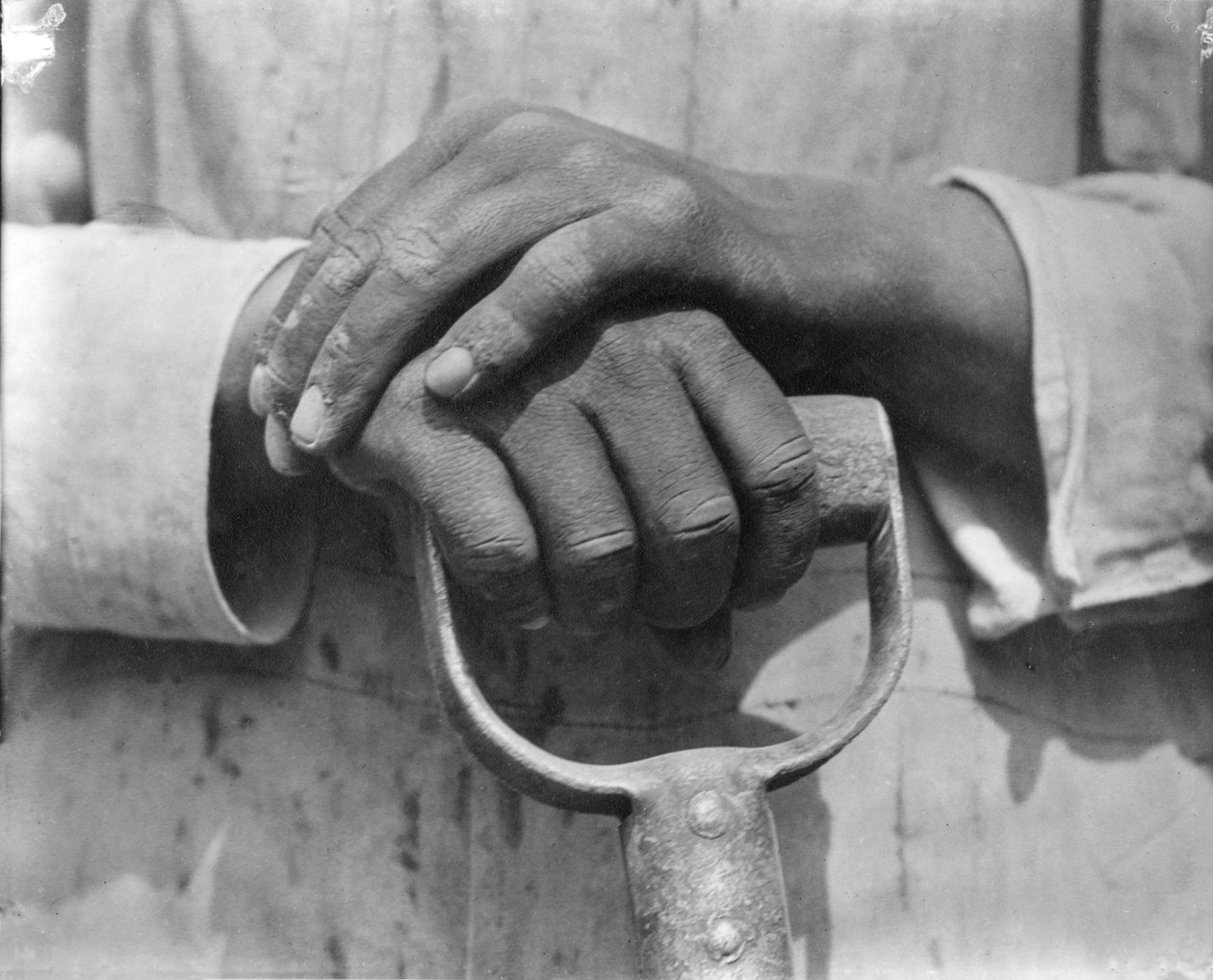 建筑工人的手，墨西哥，1926年 作者 蒂娜·莫多蒂