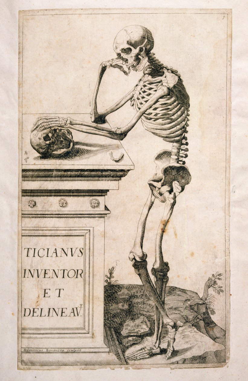 Domenico Maria Bonavera的解剖学研究（b.1640）（蚀刻和干点） 作者 蒂齐亚诺·韦切利（Tiziano Vecelli）