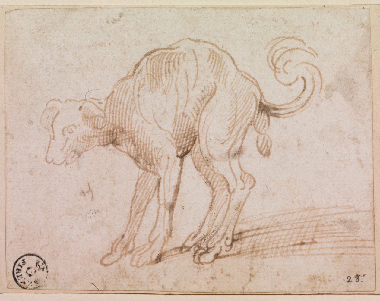 狗过红海的细节（纸上钢笔和墨水） 作者 提香（c.1488-1576）