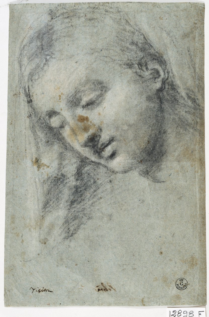 一个女人的头像（纸上炭笔） 作者 提香（c.1488-1576）