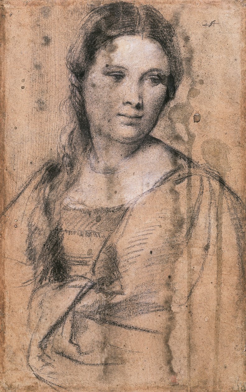 提香（约1490-1576）的年轻女孩肖像，绘画 作者 提香（c.1488-1576）
