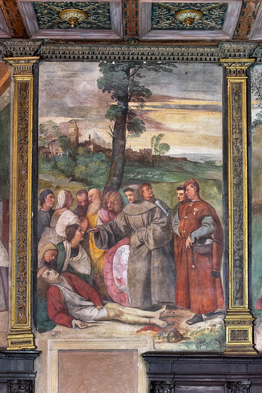 圣安东尼为一个年轻人重新接上脚，圣人学校（壁画） 作者 提香（c.1488-1576）