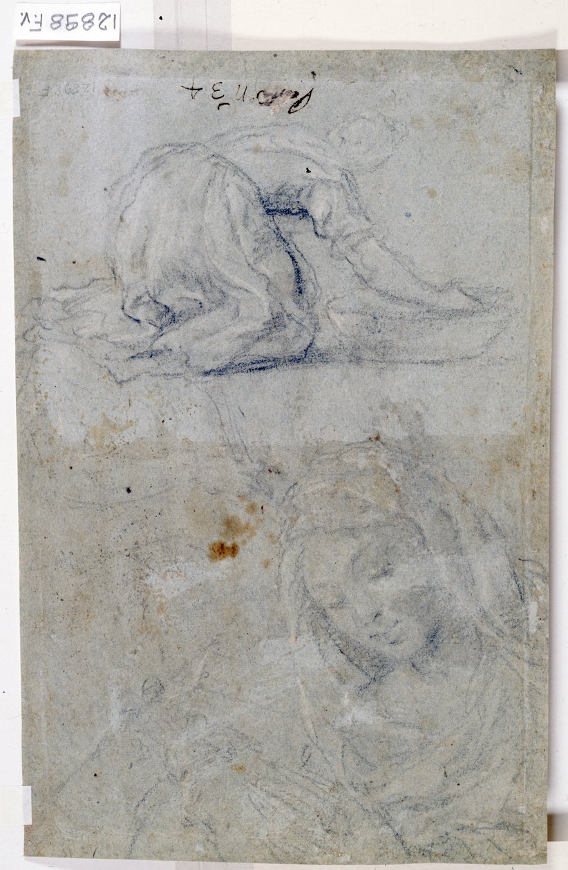 圣母研究》（纸上炭笔） 作者 提香（c.1488-1576）
