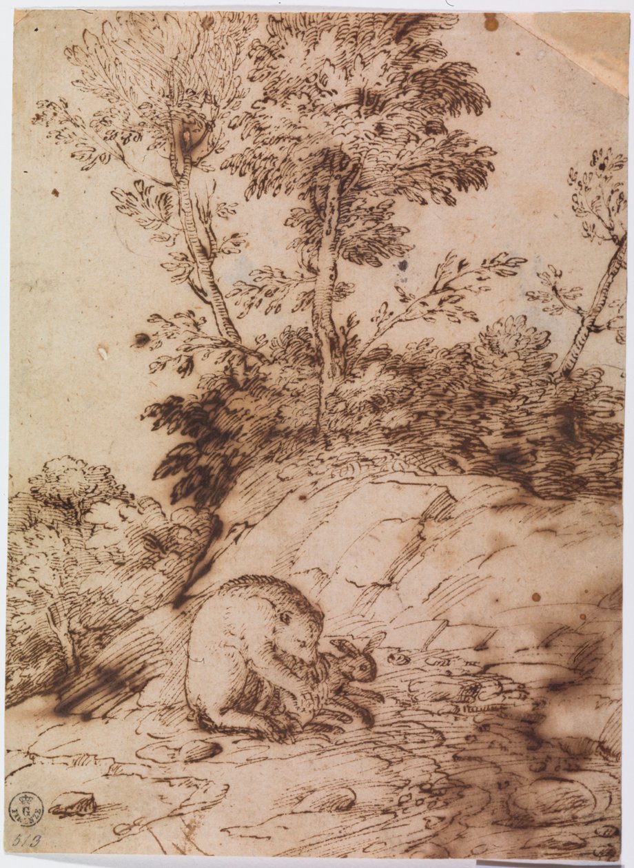 熊吃兔（纸上笔墨） 作者 提香（c.1488-1576）