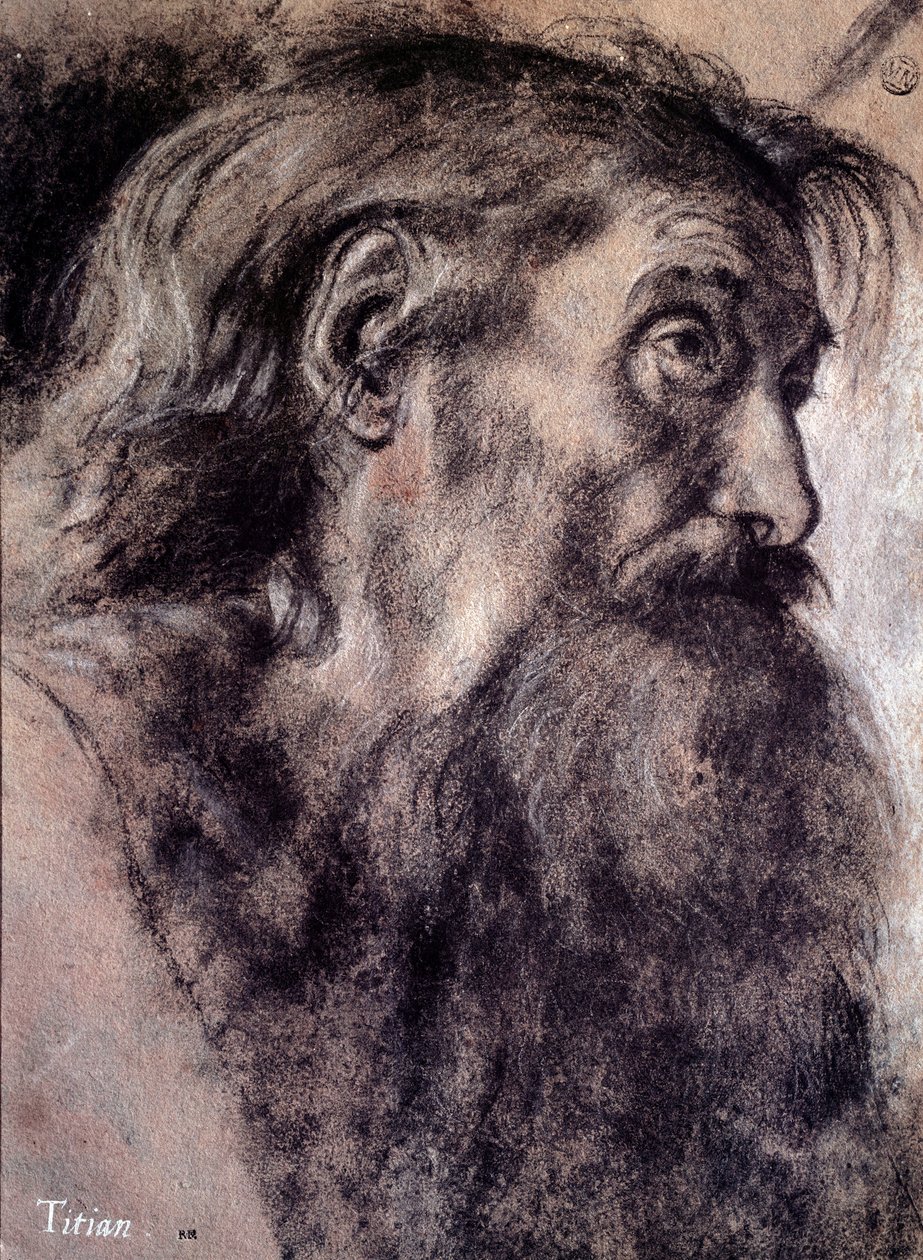 老人头图 提兹亚诺-维切利奥（Tiziano Vecellio），又称提香（1485-1576），16世纪 巴黎，卢浮宫博物馆 作者 提香（c.1488-1576）