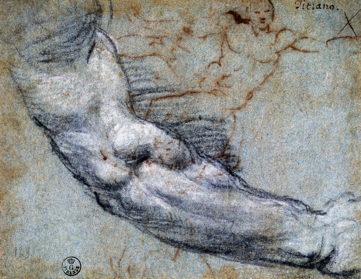 提香（约1488-1576）的手臂研究，图画 作者 提香（c.1488-1576）