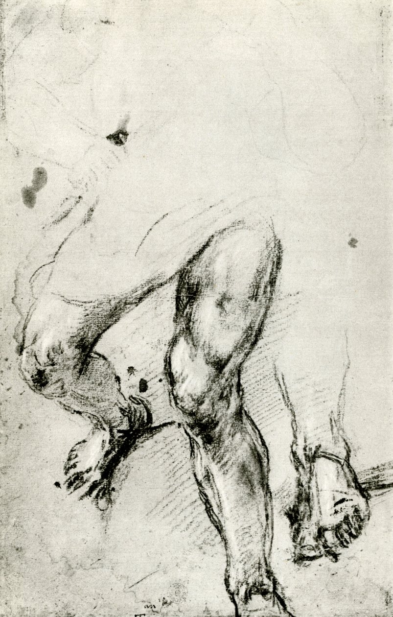 1937年在威尼斯为圣劳伦斯the难研究，c1550年 作者 蒂齐亚诺·韦切利（Tiziano Vecelli）