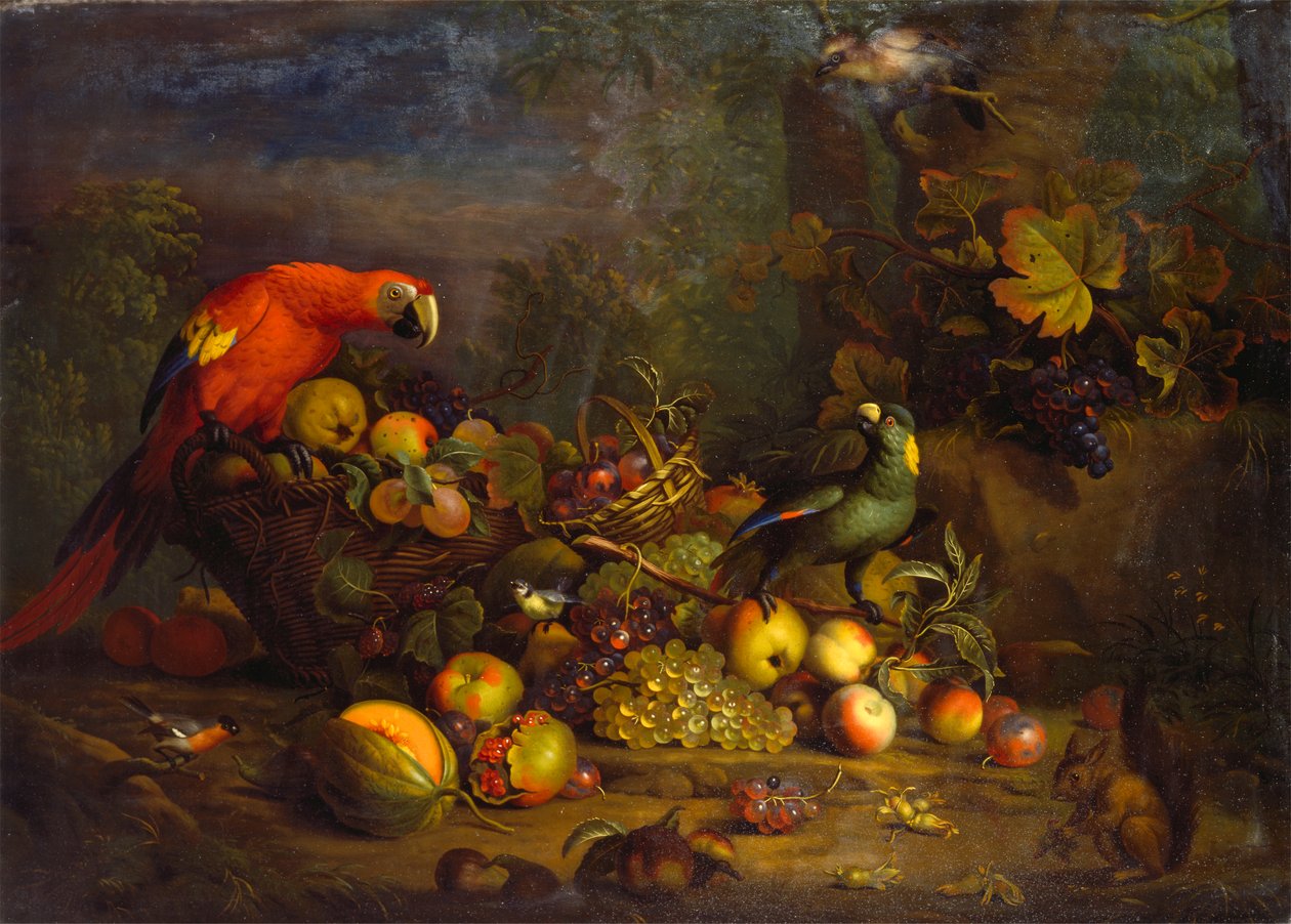 Parrots and Fruit with Other Birds and a Squirrel 作者 托比亚斯·斯特兰诺夫（Tobias Stranover）