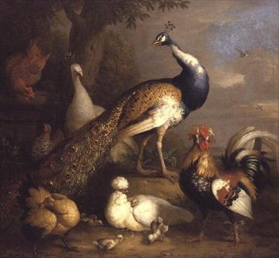 景观中的孔雀、孔雀和家禽 作者 托比亚斯·斯特兰诺夫（Tobias Stranover）