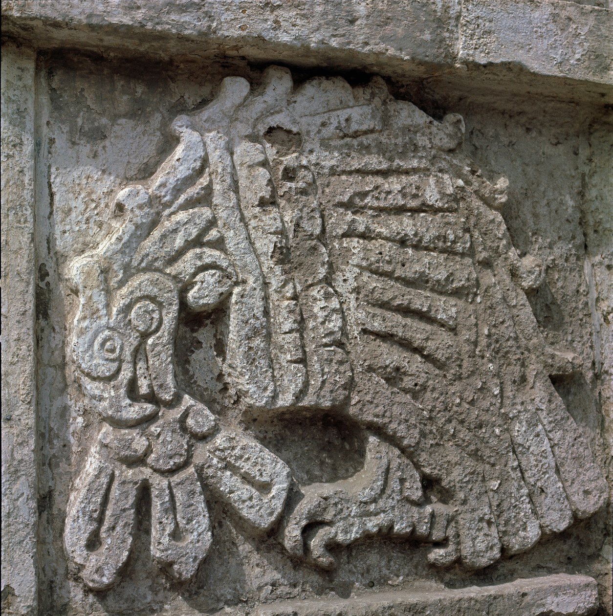 Relief of an eagle, temple of Quetzalcoatl 作者 托尔特克托尔特克