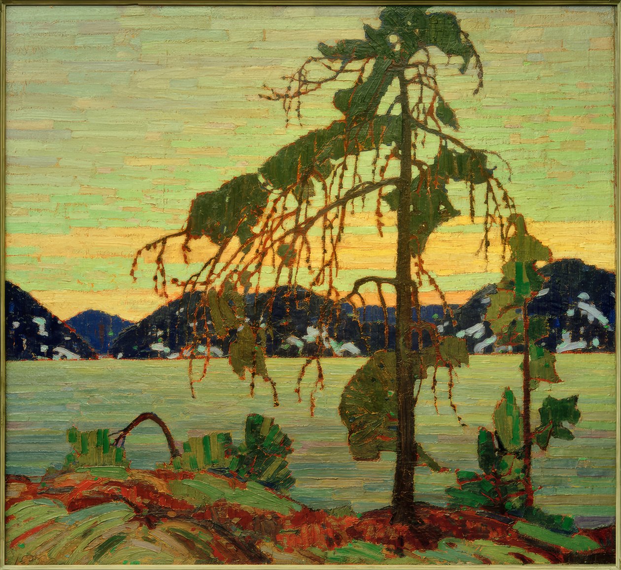 杰克·派恩（Jack Pine） 作者 汤姆汤姆森