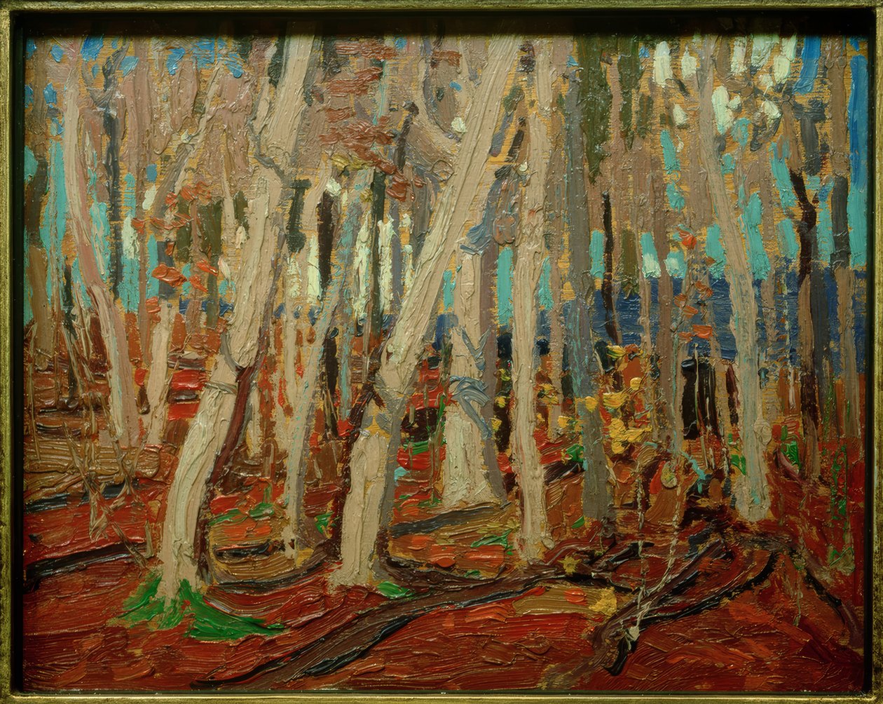 枫树林，裸露的树干，1915年 作者 汤姆汤姆森
