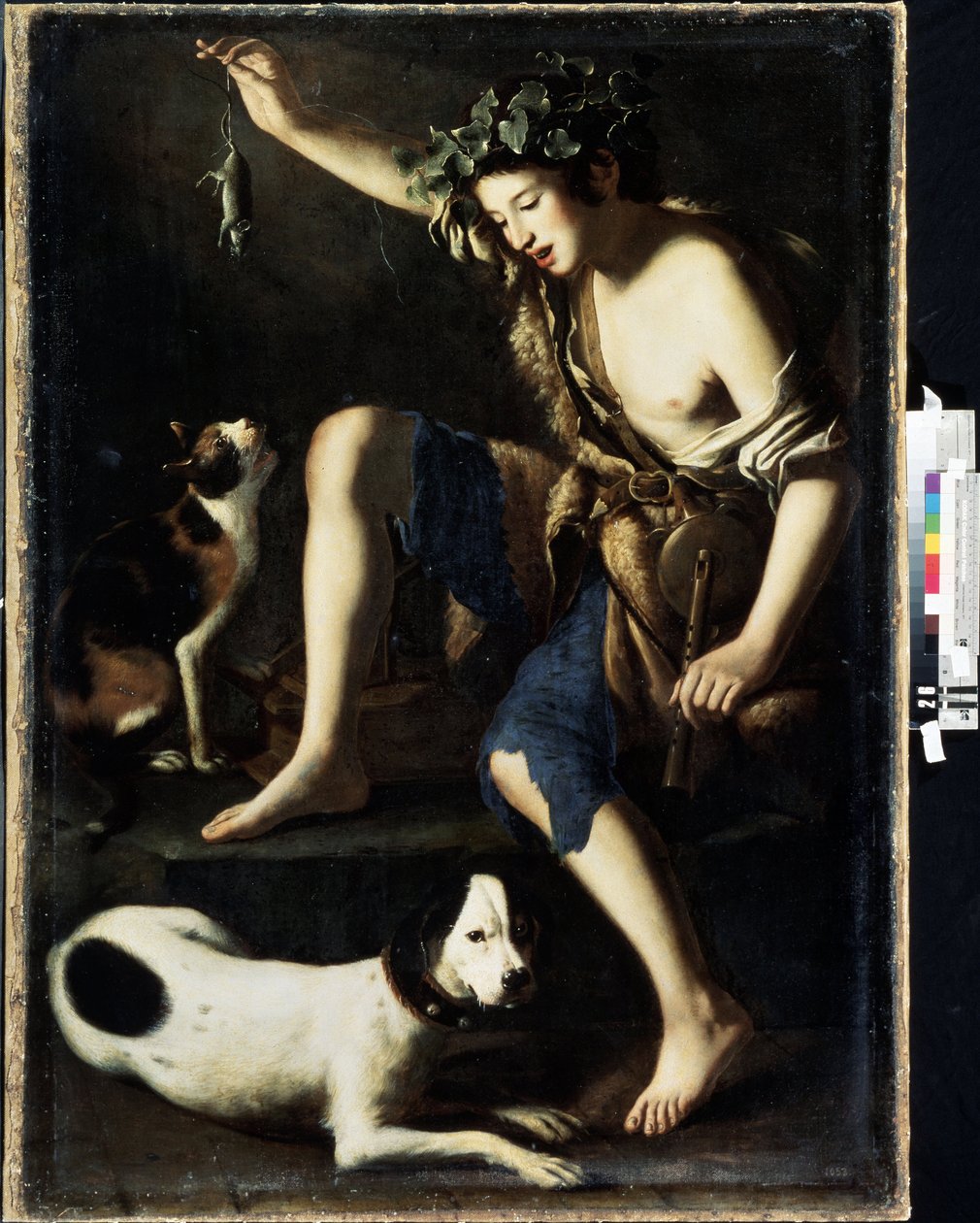 年轻牧羊人与猫玩耍。托马索-萨利尼（Tommaso Salini，约 1575-1625 年）的画作。木板油画 作者 汤马索·萨利尼（Tommaso Salini）