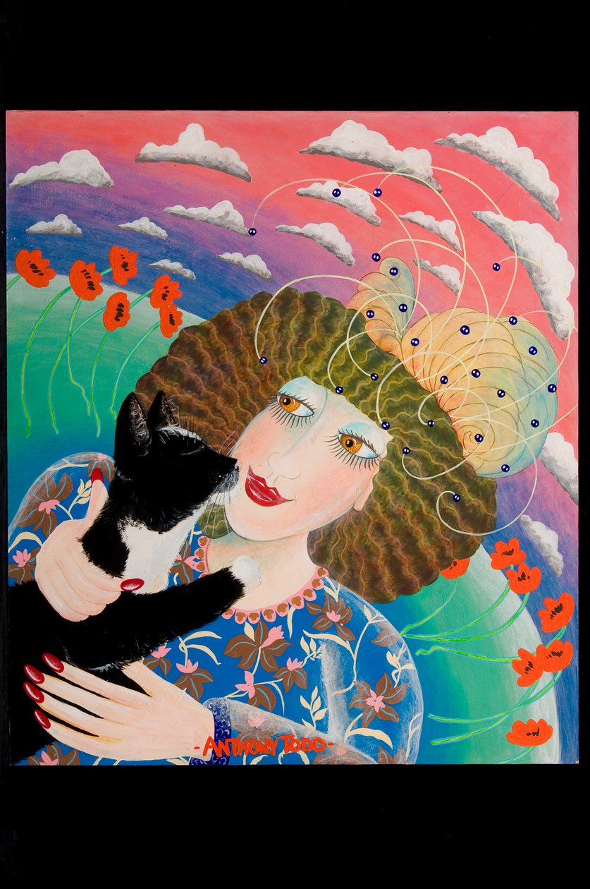 Binkies和Poppies，2010（丙烯酸树脂） 作者 托尼·托德