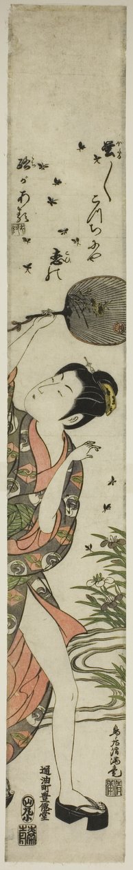 追逐萤火虫 作者 鸟井清光一号