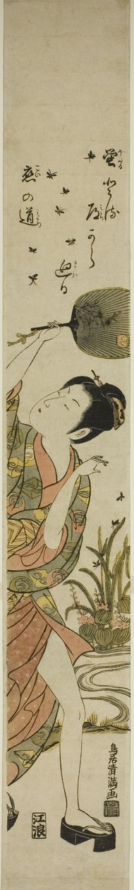 追逐萤火虫 作者 鸟井清光一号