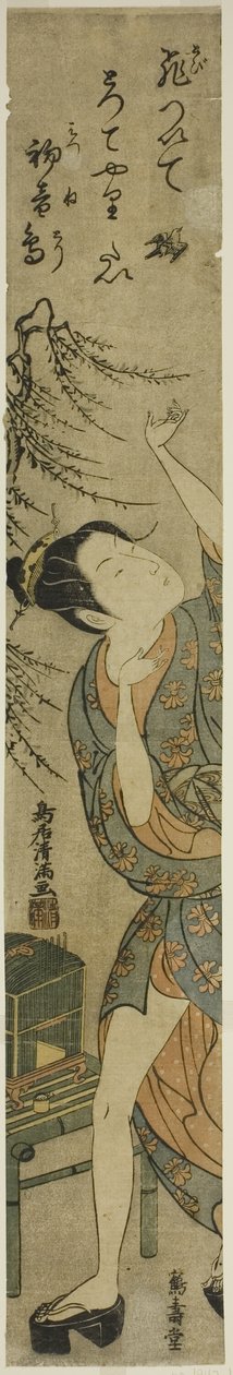 放飞小鸟的年轻女子 作者 鸟井清光一号