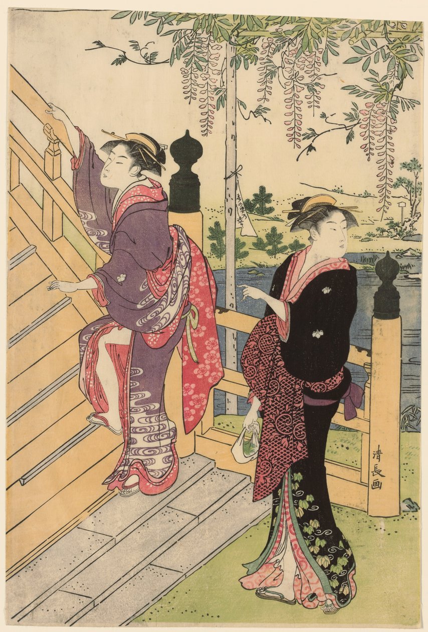 欣赏龟户神社的紫藤花 作者 永永鸟居