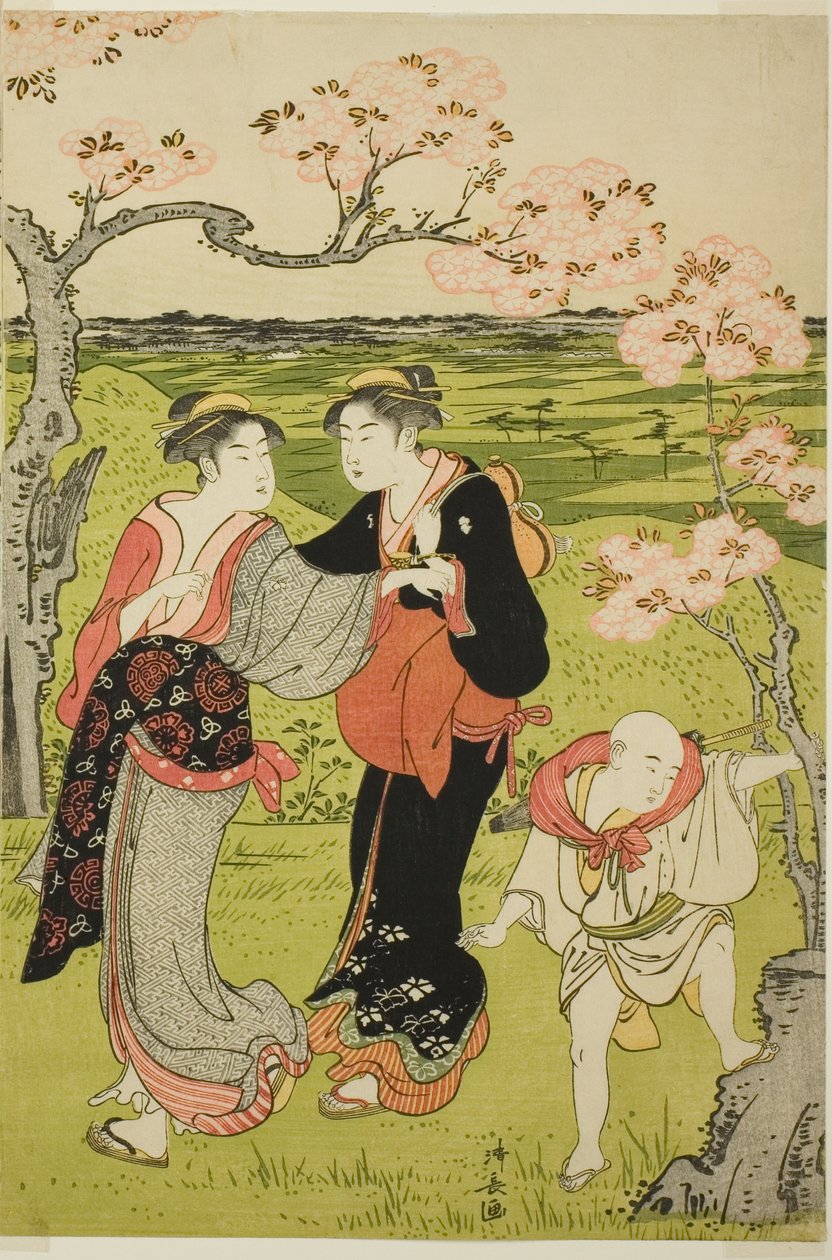 在飞鸟山赏樱花 作者 永永鸟居