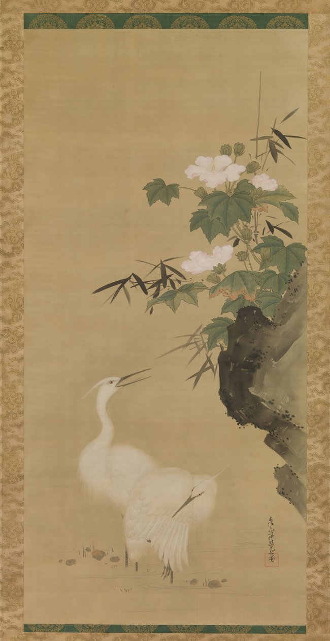 白鹭和棉花玫瑰，17世纪中期至晚期。 作者 土佐三冈