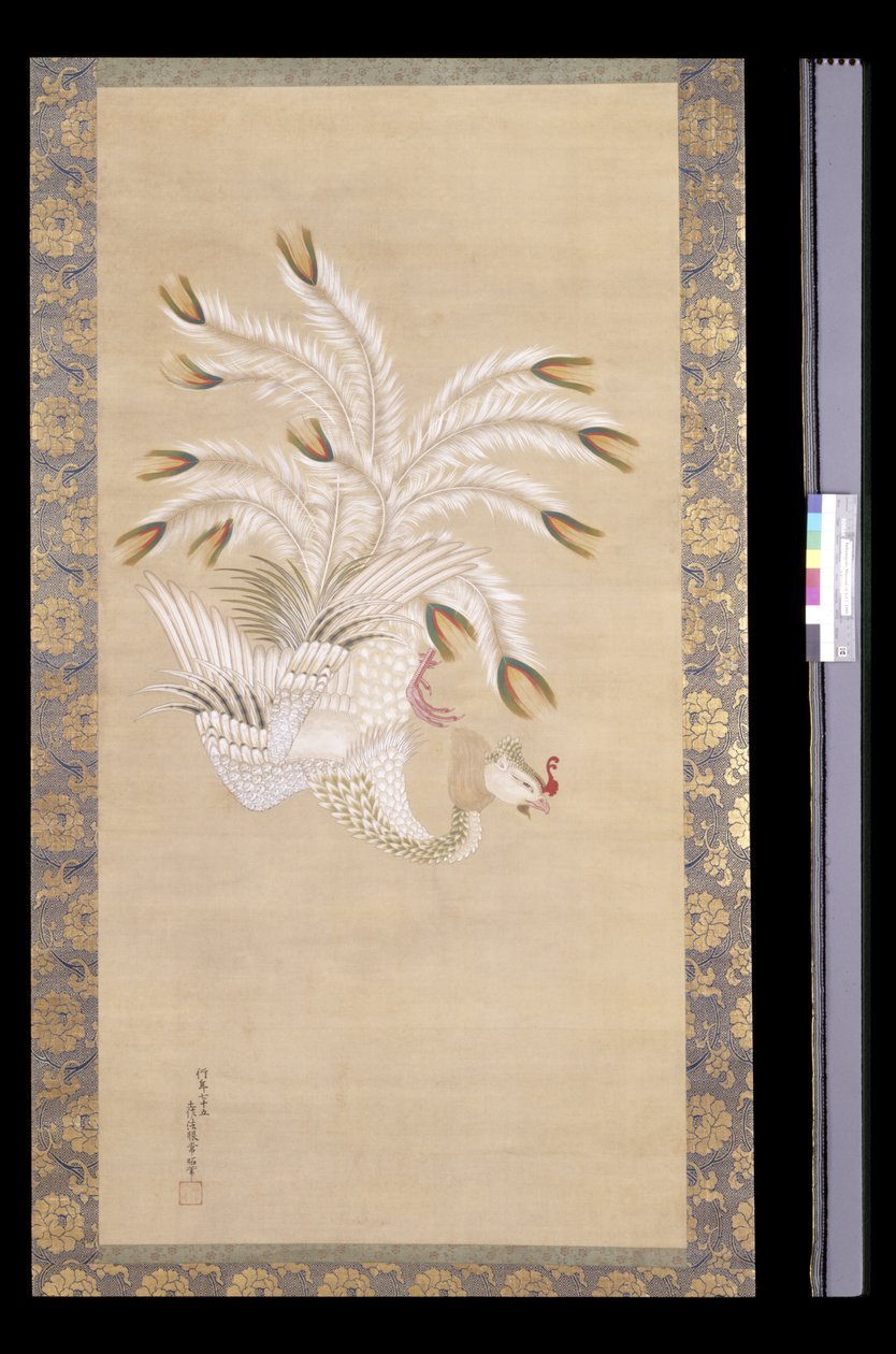 凤凰》，选自《中国美人》，《凤凰与孔雀》（绢本水墨设色） 作者 土佐三冈
