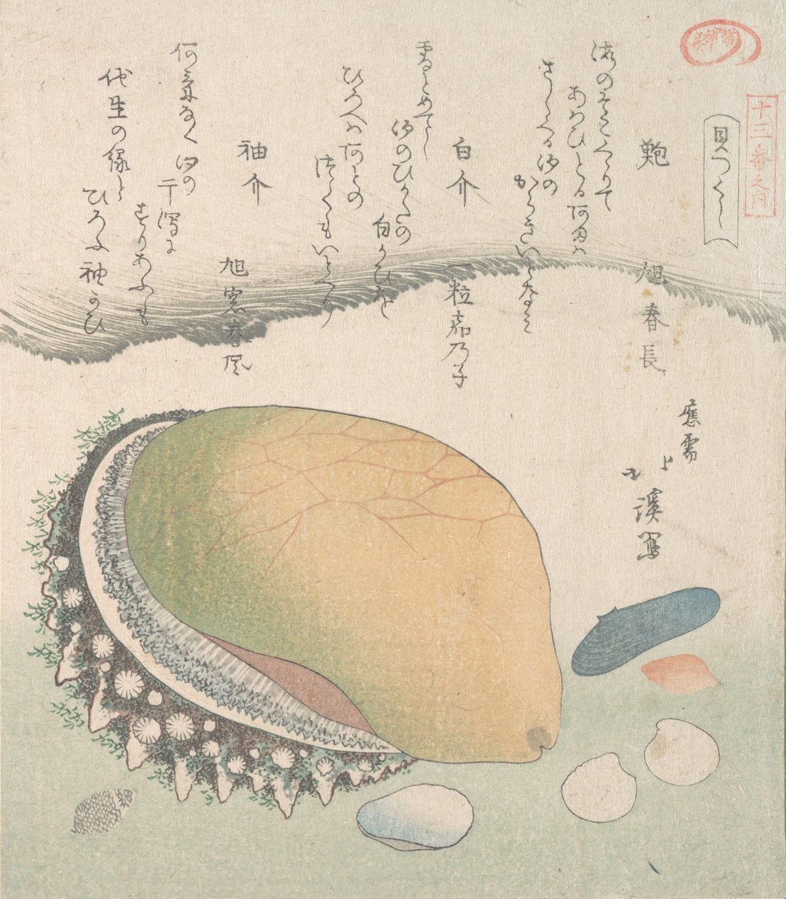 阿瓦比耳壳和各种贝壳，19世纪。 作者 东东屋北海