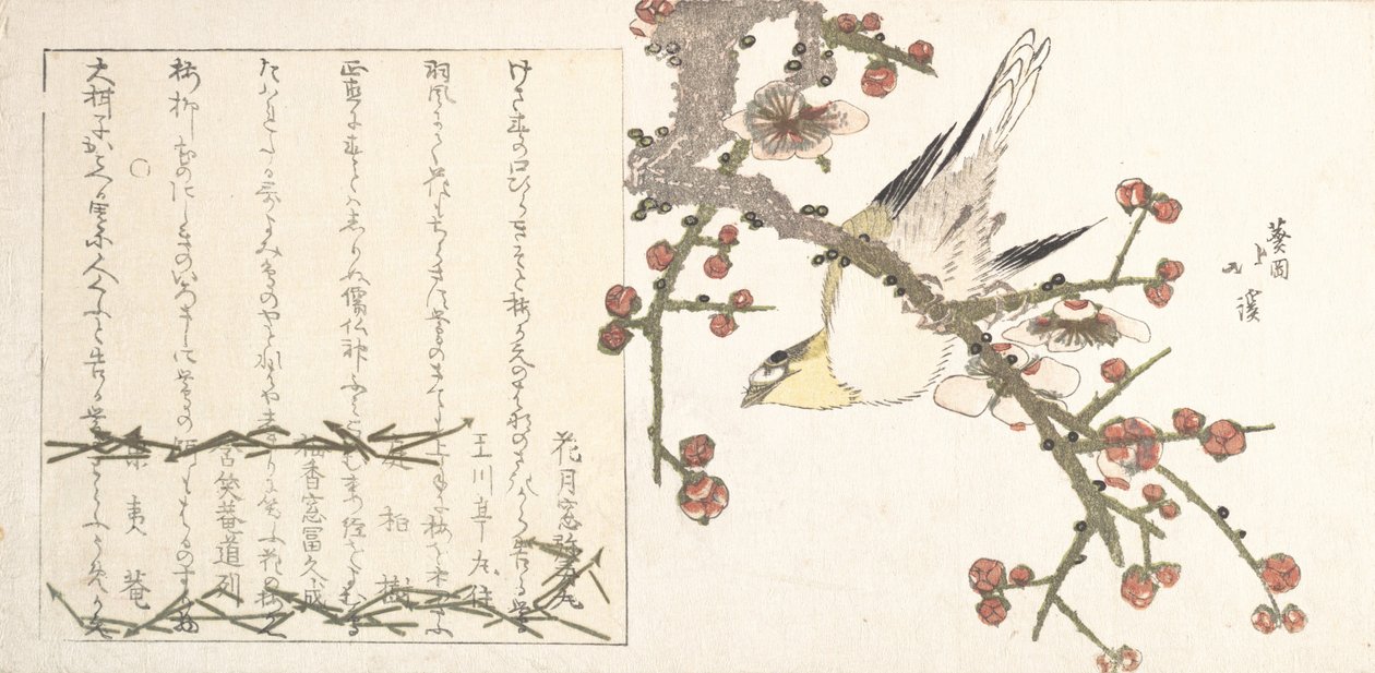 梅花枝上的布什战鸟 Ume ni uguisu，19世纪初。 作者 东东屋北海