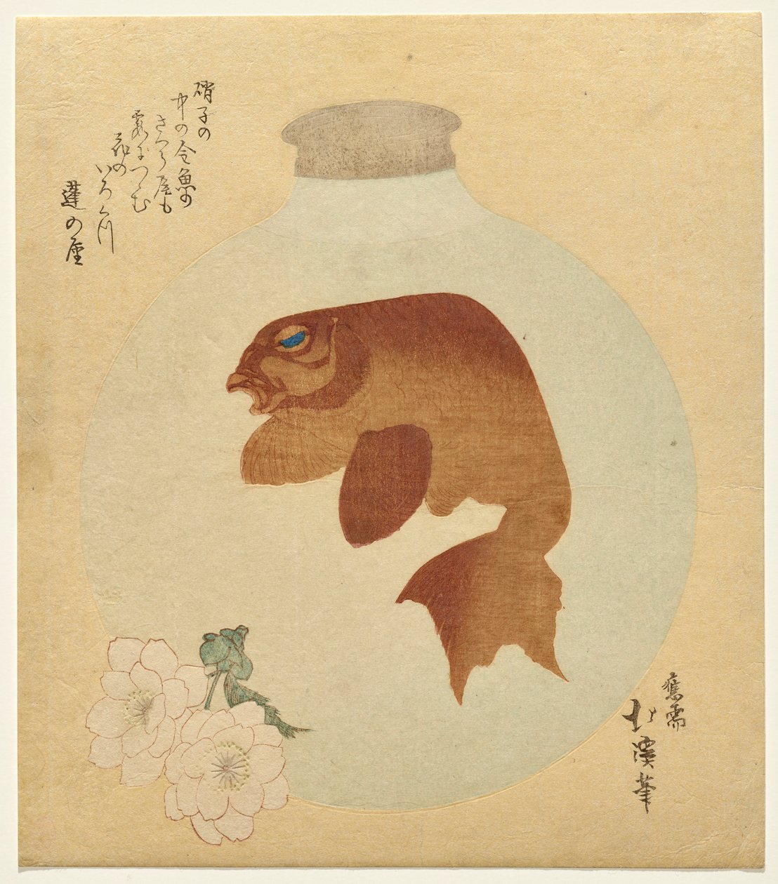 金鱼 作者 东东屋北海