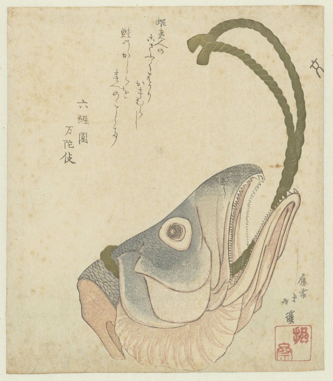 鲑鱼头 作者 东东屋北海