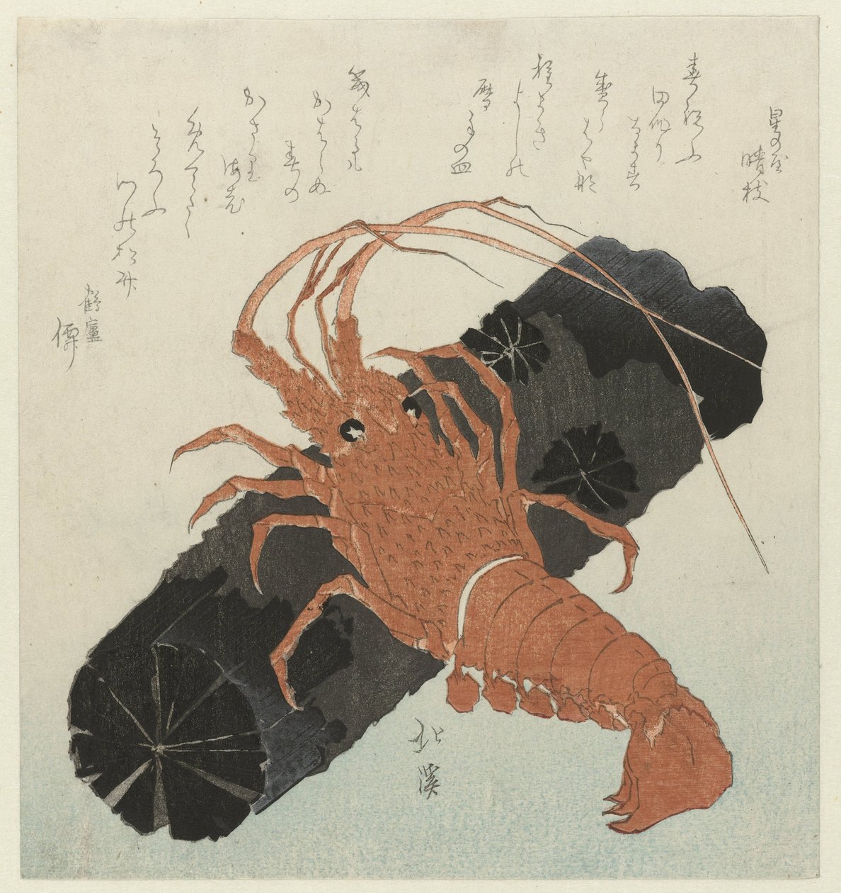 炭烧龙虾 作者 东东屋北海