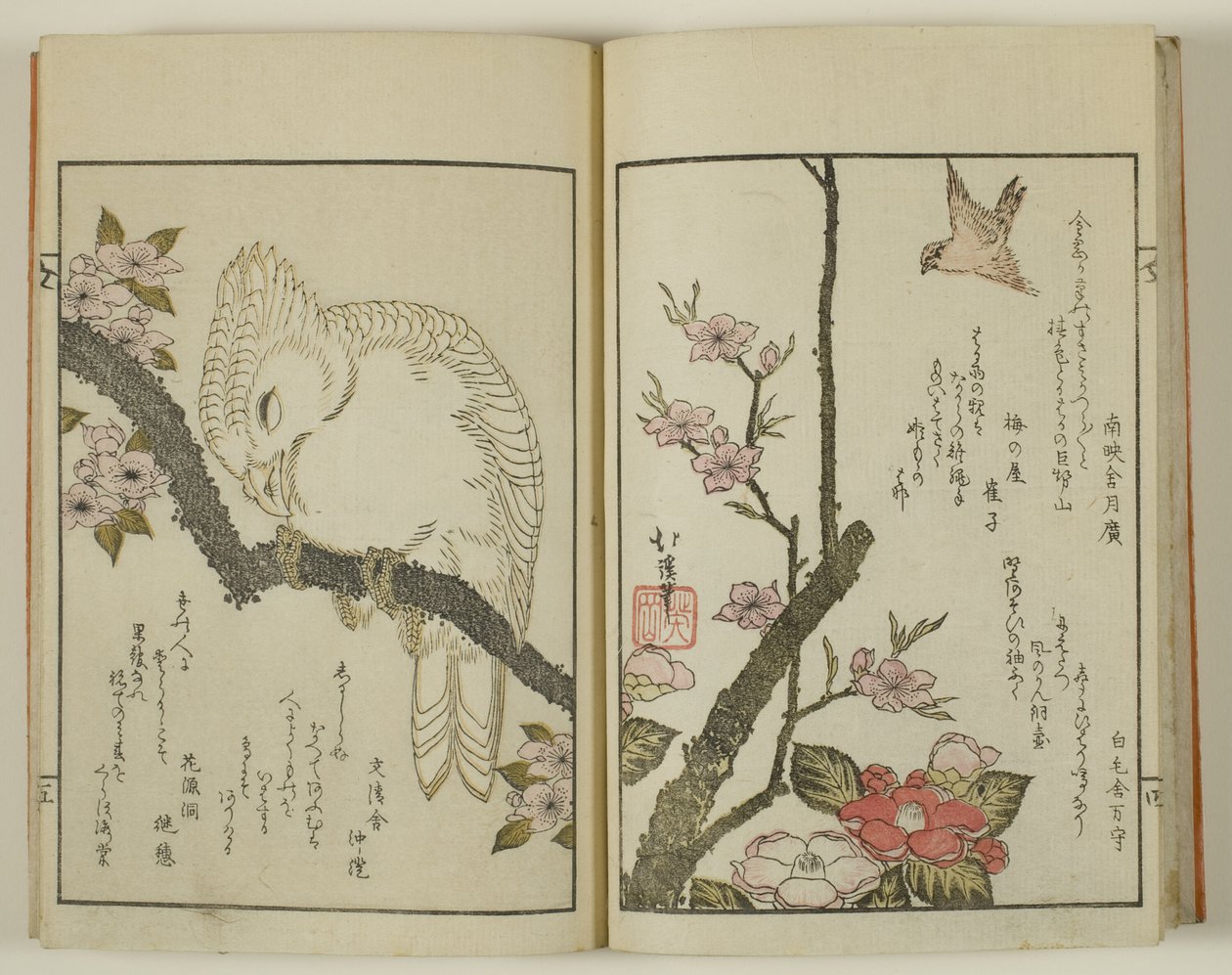Kyoka hyakucho Kocho 作者 东东屋北海