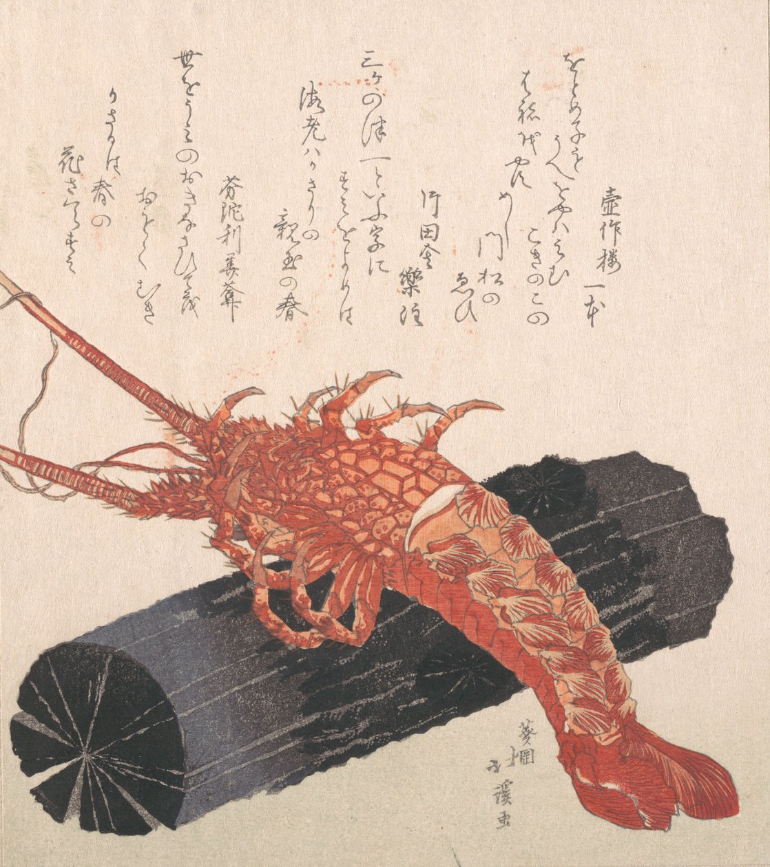 一块木炭上的龙虾。 作者 东东屋北海