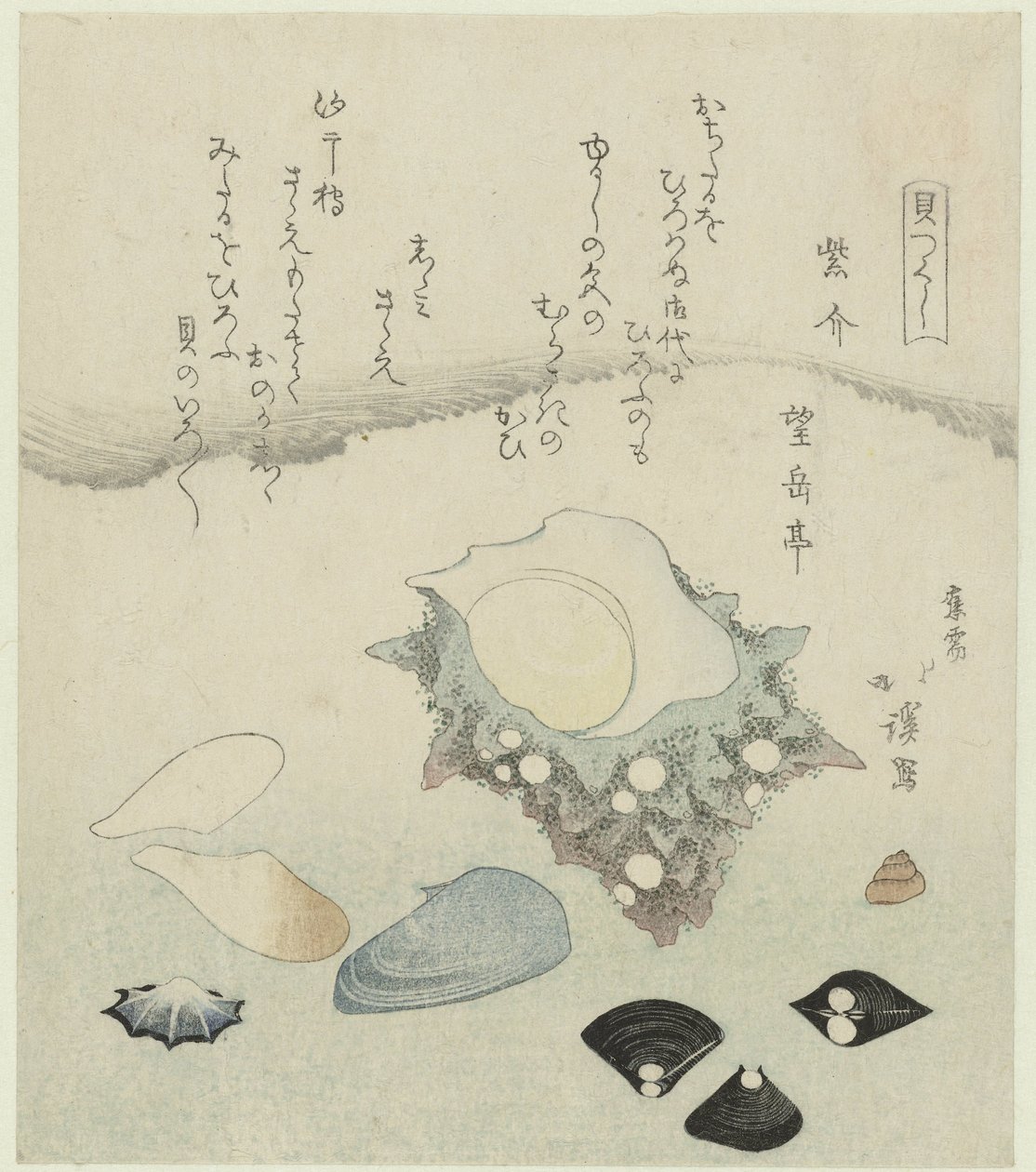 紫贝、淡水蛤和蝾螈贝 Murasakigai shijimi sazae（物体上的标题） 贝壳系列（系列标题） Kaitsukushi（物体上的系列标题） 作者 东东屋北海