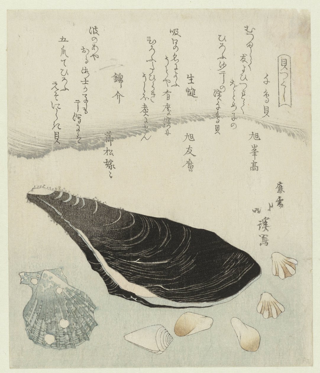 鸻贝、生贻贝和锦贝
Chidorigai namakaki nishikigai（物品标题）
贝壳系列（系列名称）
贝壳系列（物品上的系列名称） 作者 东东屋北海