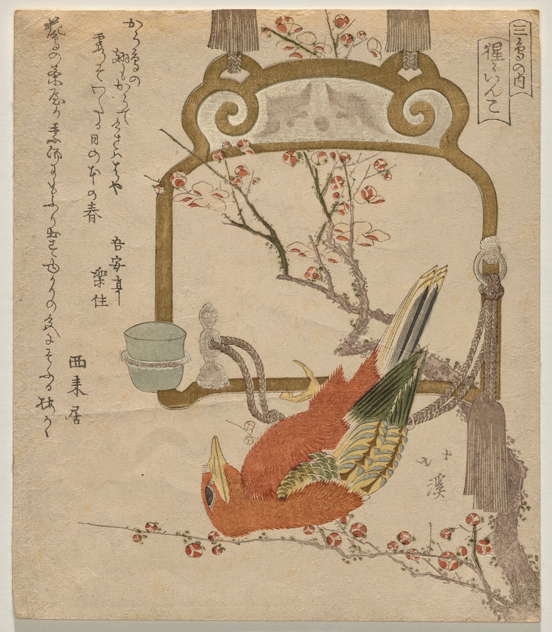 红鹦鹉（Sh?） 作者 东东屋北海
