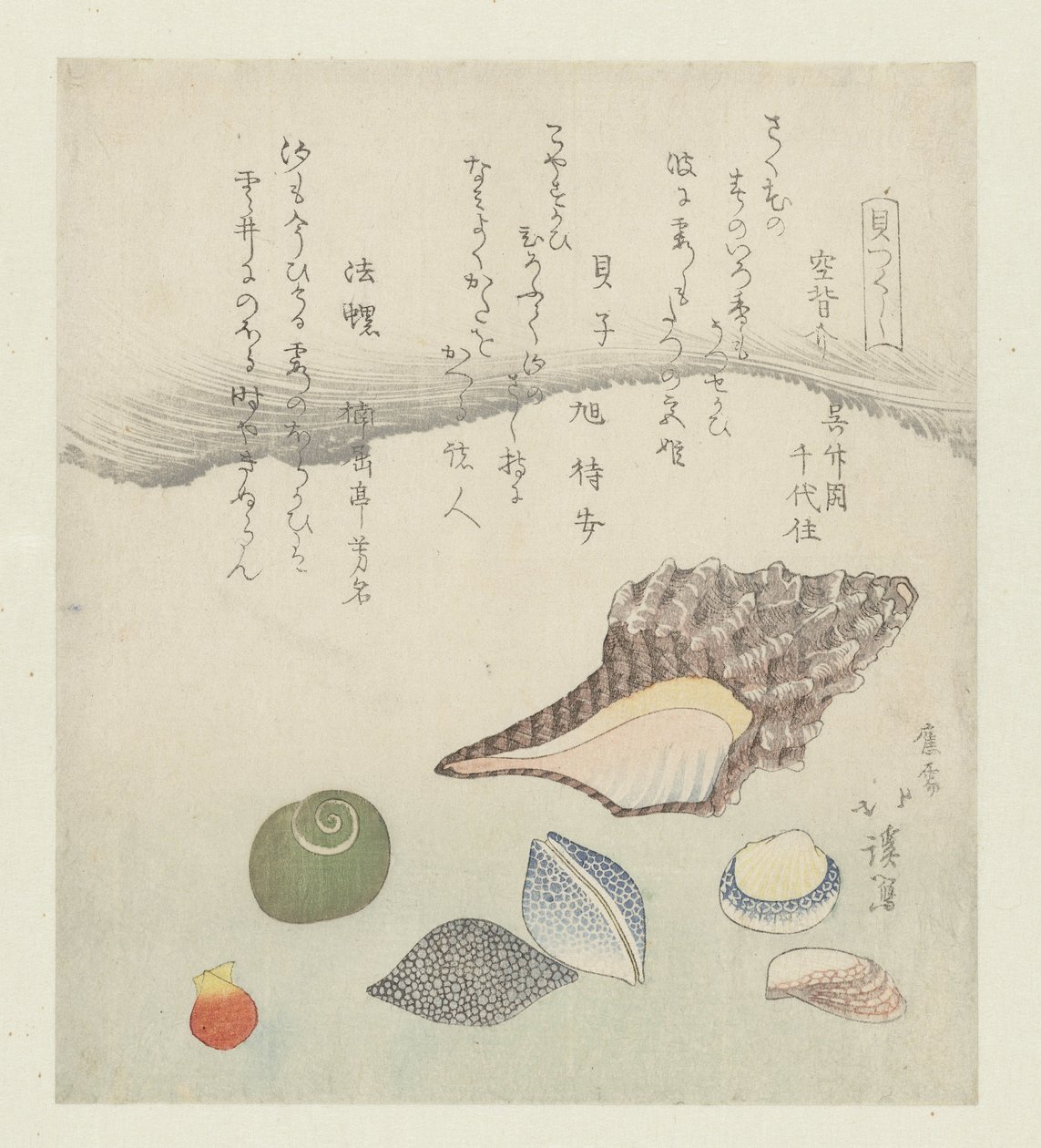 反射贝壳、象牙贝壳和三棱贝壳
Utsusegai baishi hora（物品上的标题）
贝壳系列（系列名称）
贝壳系列（物品上的系列名称） 作者 东东屋北海